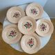 Set of 6 hand-painted flat plates