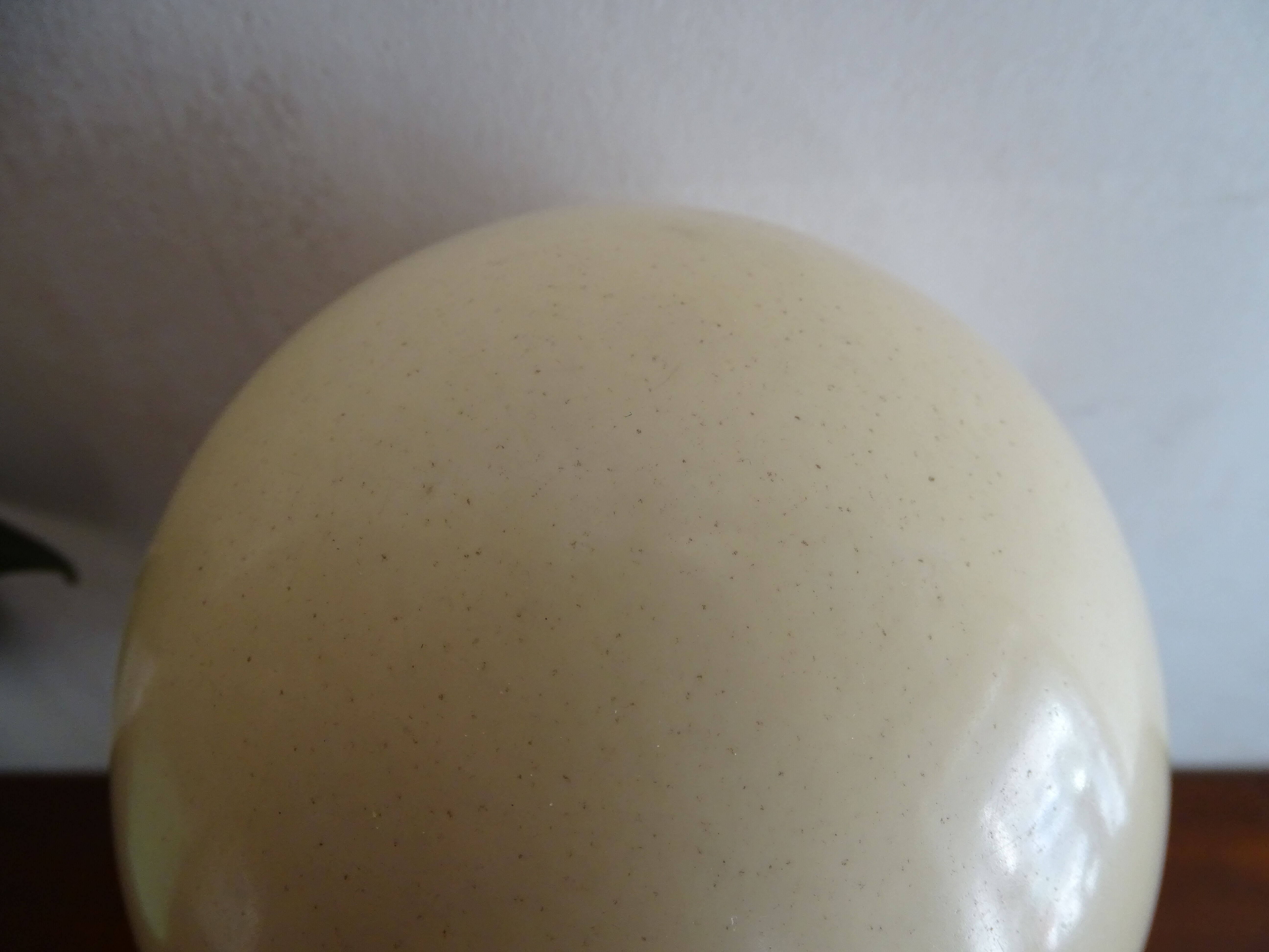 Ostrich egg on blackened wooden base - object of curiosity