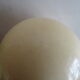 Ostrich egg on blackened wooden base - object of curiosity