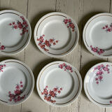 Set of 6 old flat plates Salins