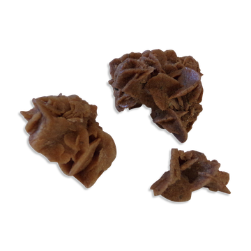 Sand Roses
