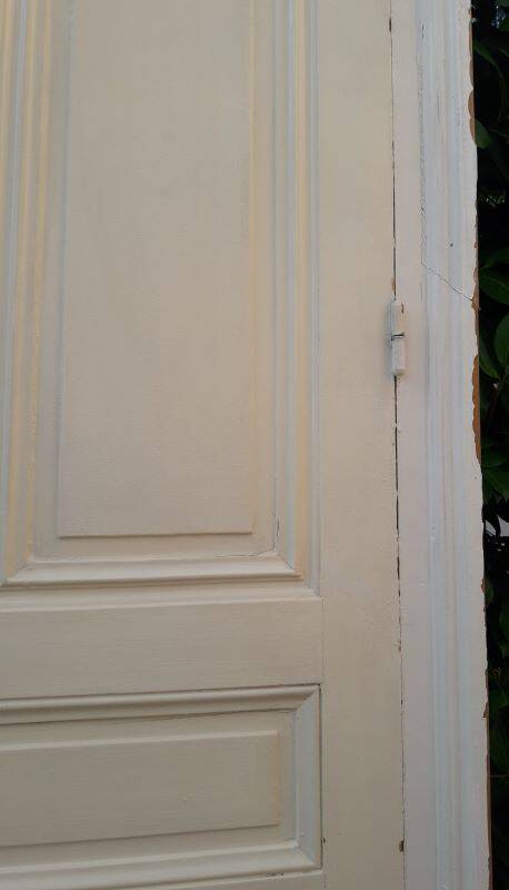 Haussmannian wardrobe door 82.5x261.5cm antique with frame