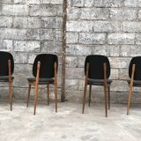 Set of 4 chairs model Pegasus edited by Baumann - 60s