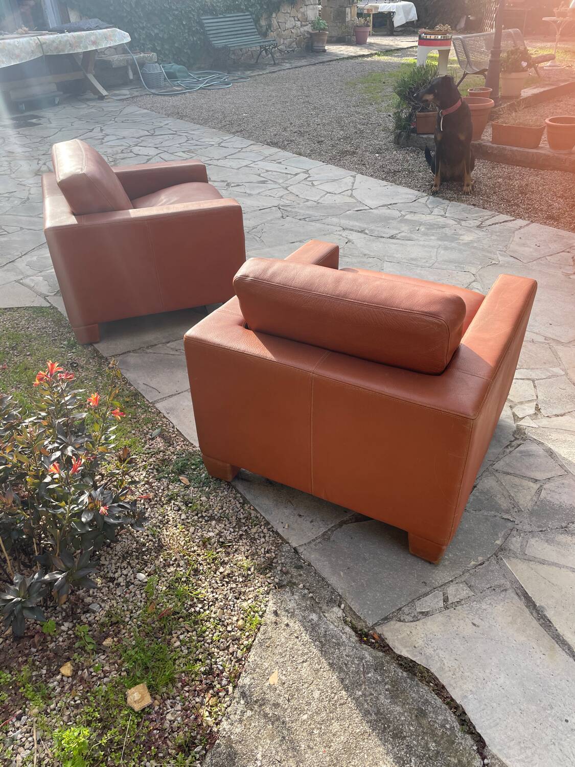 Pair of De Sede DS17 Armchairs