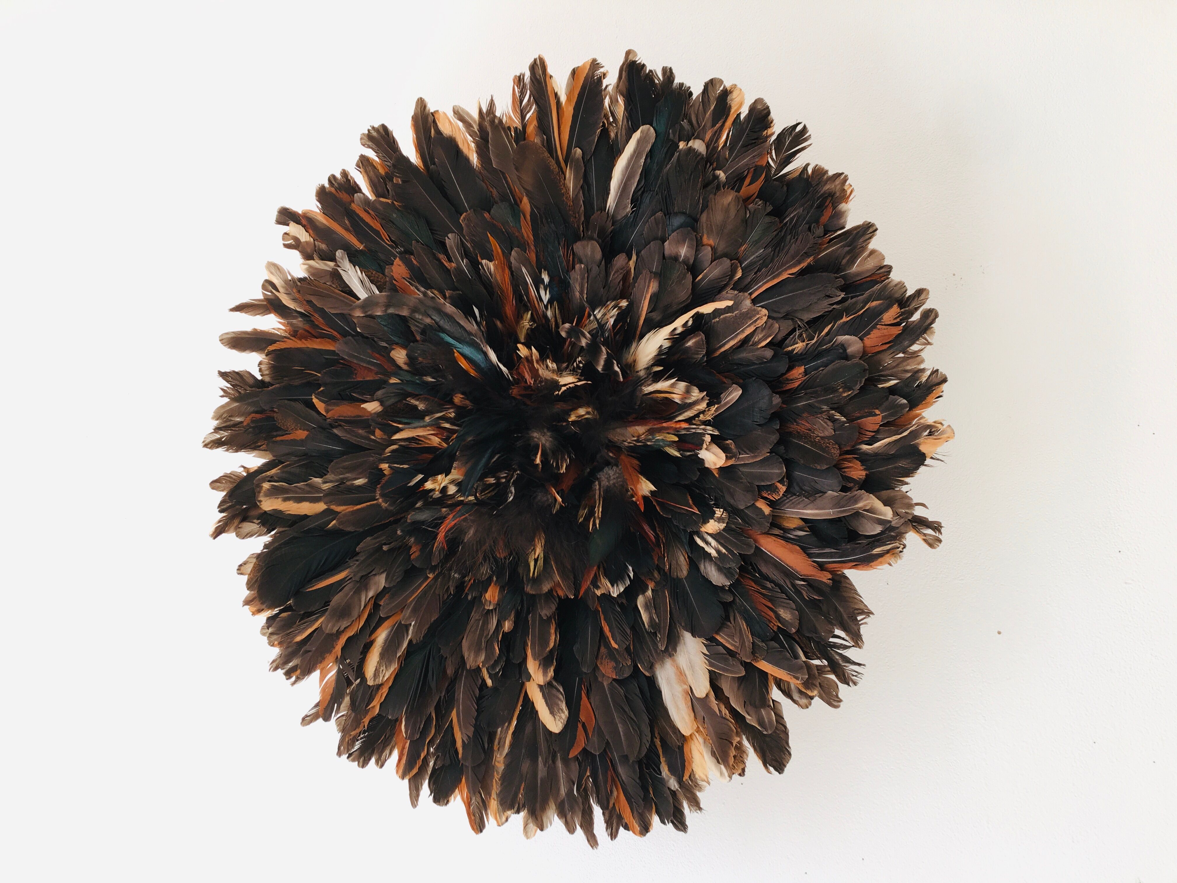 Speckled black jujuhat 55 cm