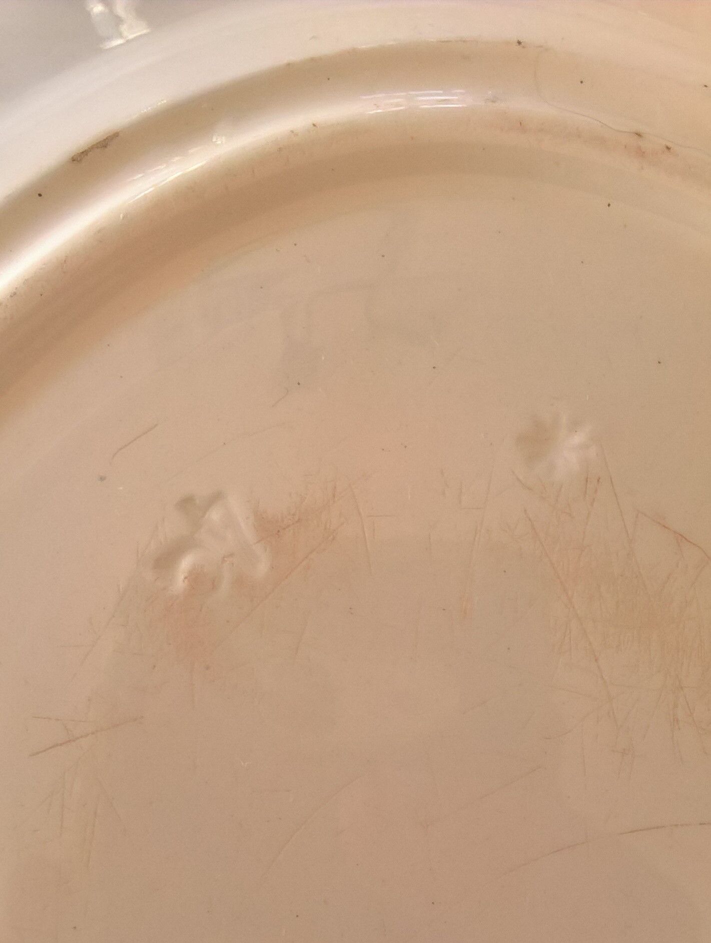 BFK Laurier service dish