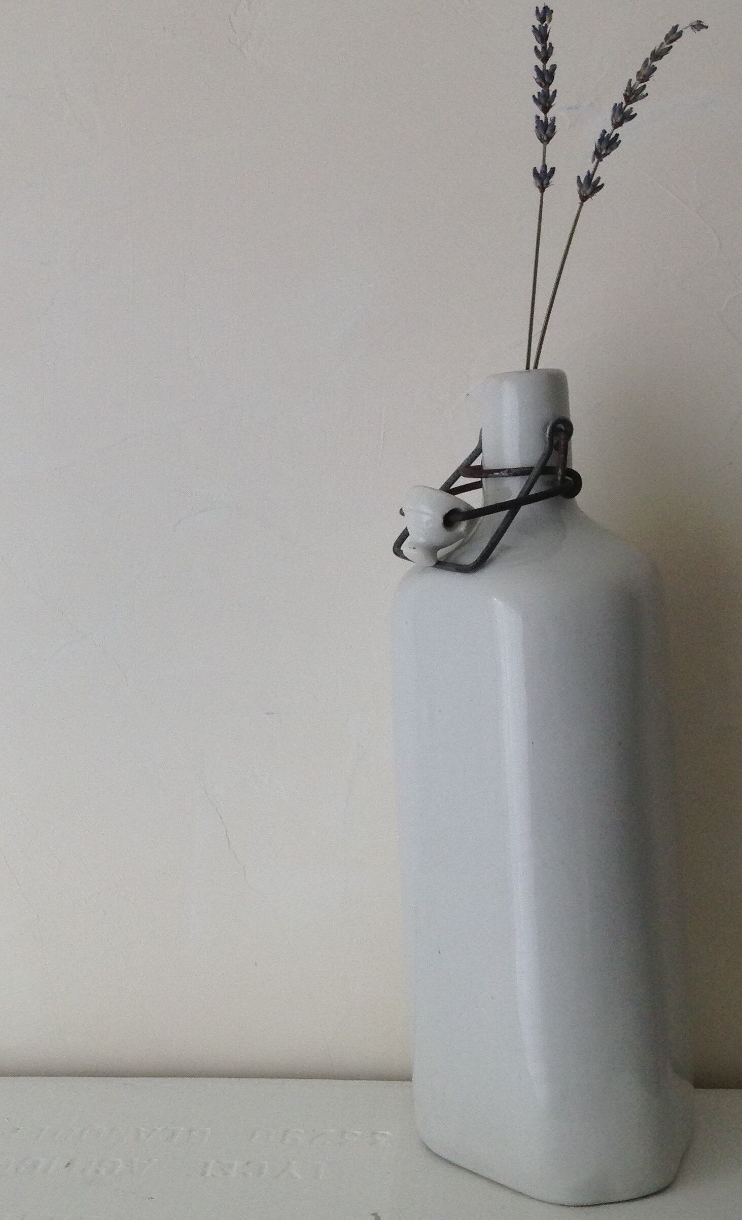 Bottle water enameled stoneware