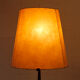 Brass and Cherry Floor Lamp, 1950s