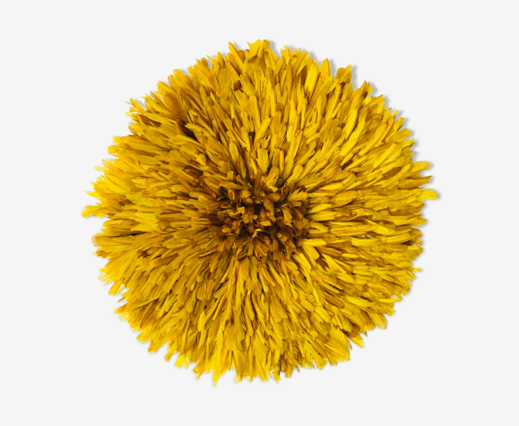 Jujuhat jaune 65 cm
