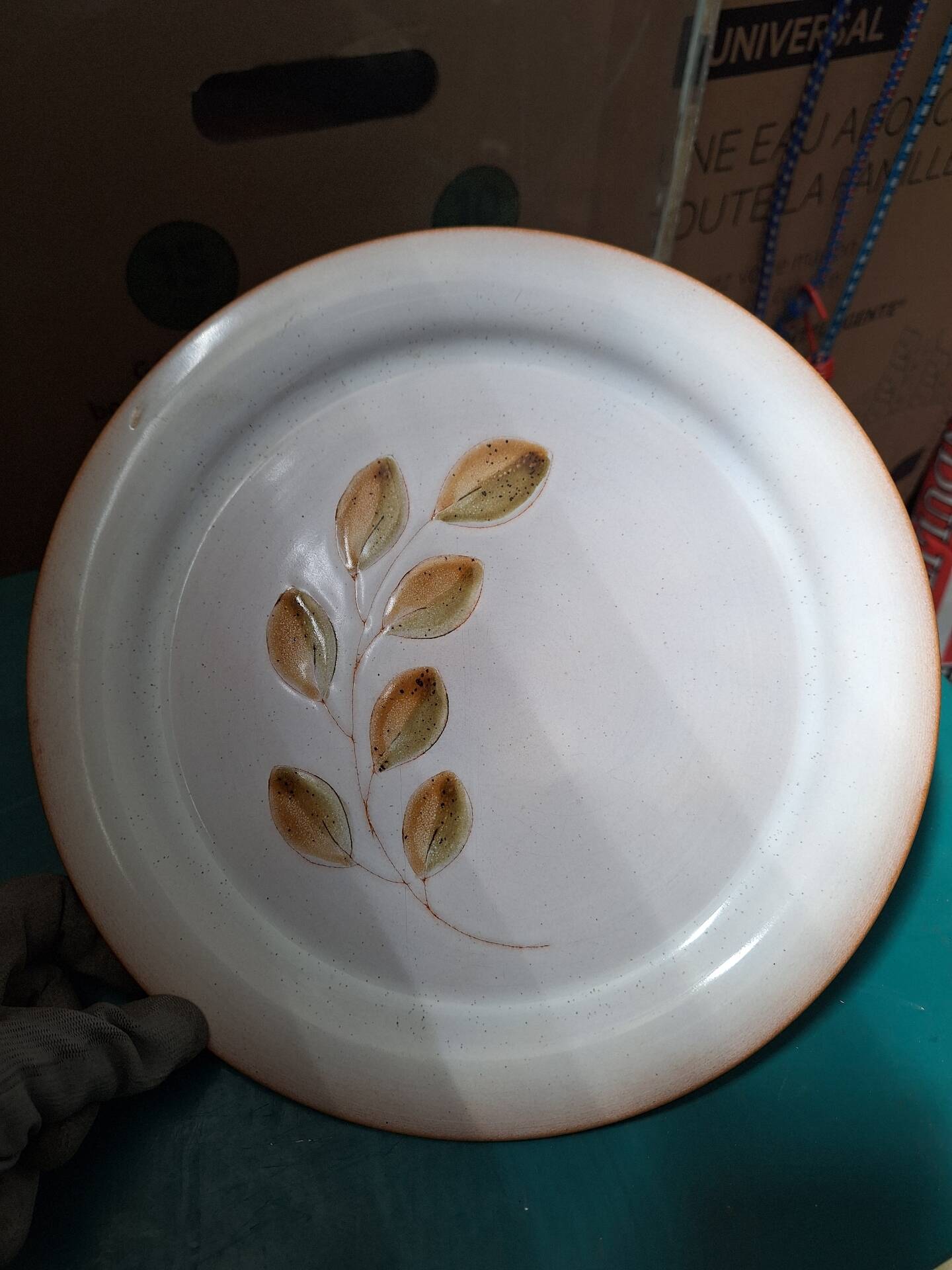 Assiette plate vintage faïence de St Amand motif feuillage Cevennes