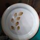Assiette plate vintage faïence de St Amand motif feuillage Cevennes