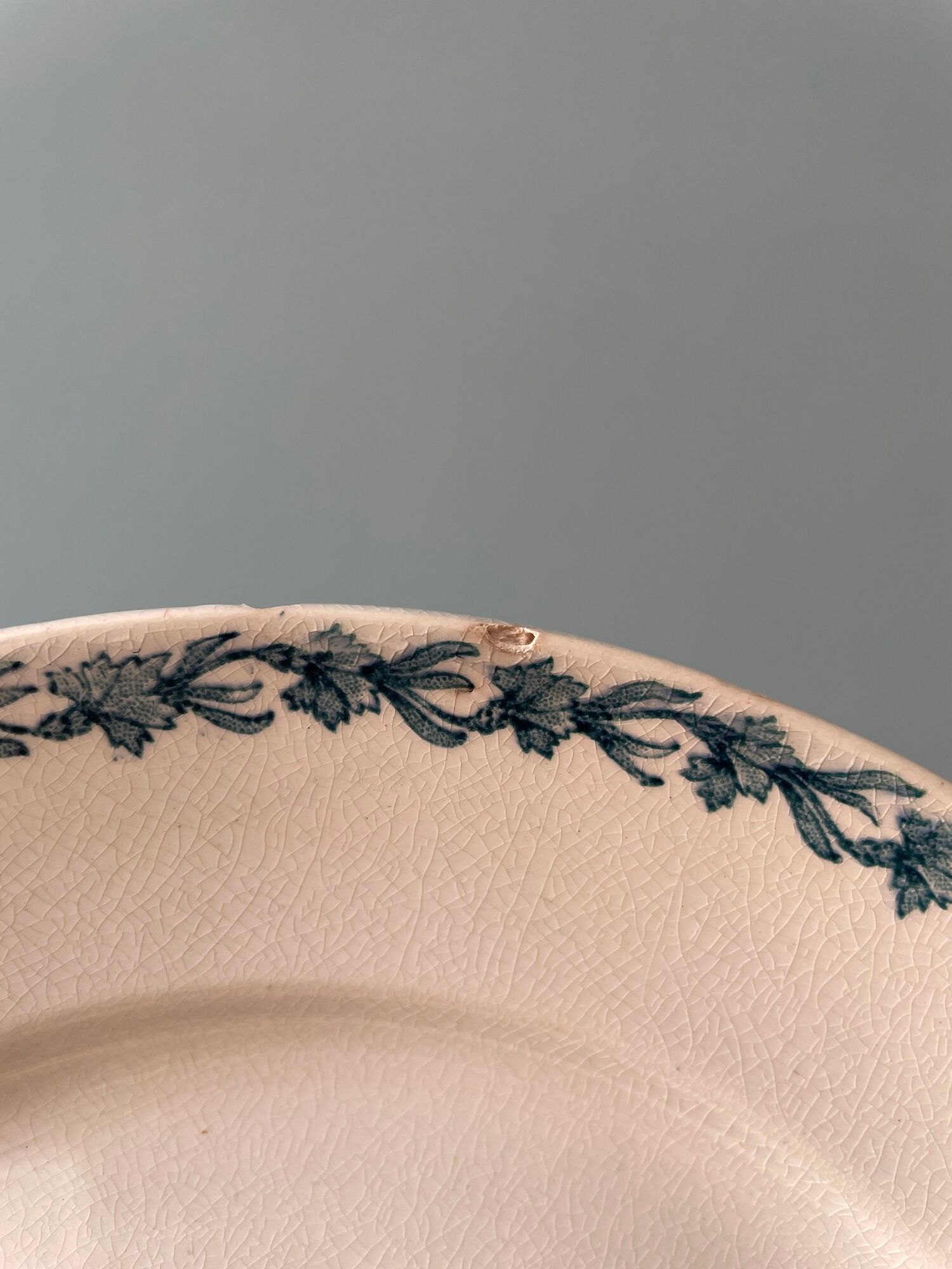 Set of 8 plates Terre de Fer 1900 K.G Lunéville, model "Carnation"