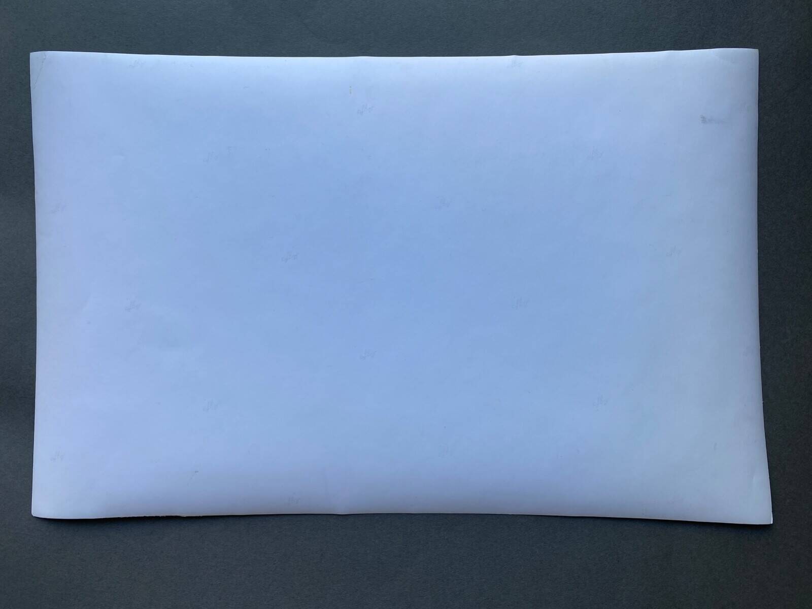 Silver gelatin photograph, mountain mist, vegetation, Bernard Darot, 20th century