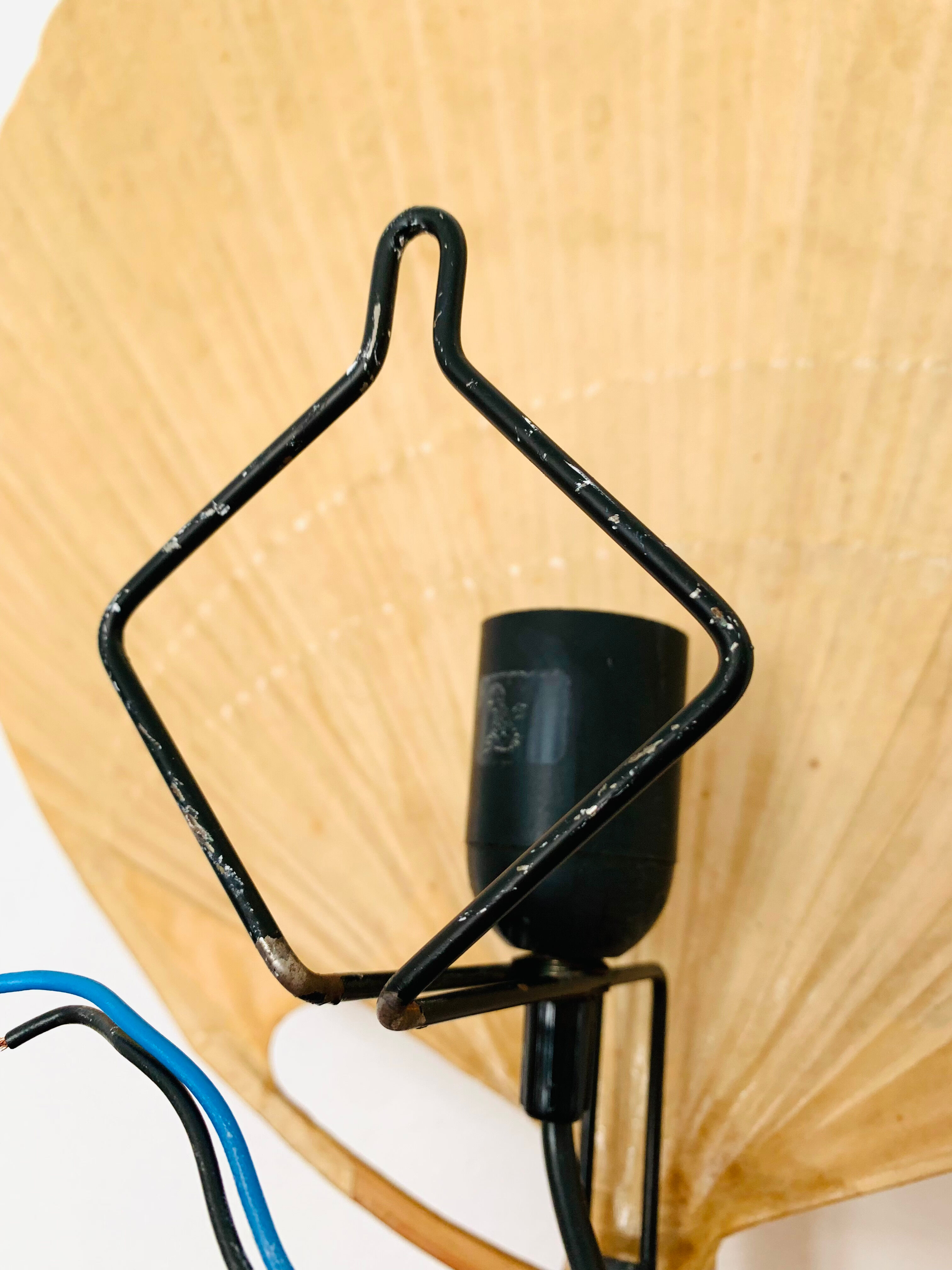 Uchiwa III bamboo wall lamp by Ingo Maurer for Design M