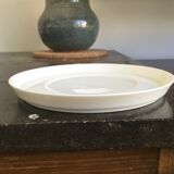 Tea cups and under white porcelain cups