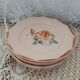 6 old Digoin and Sarreguemines dinner plates