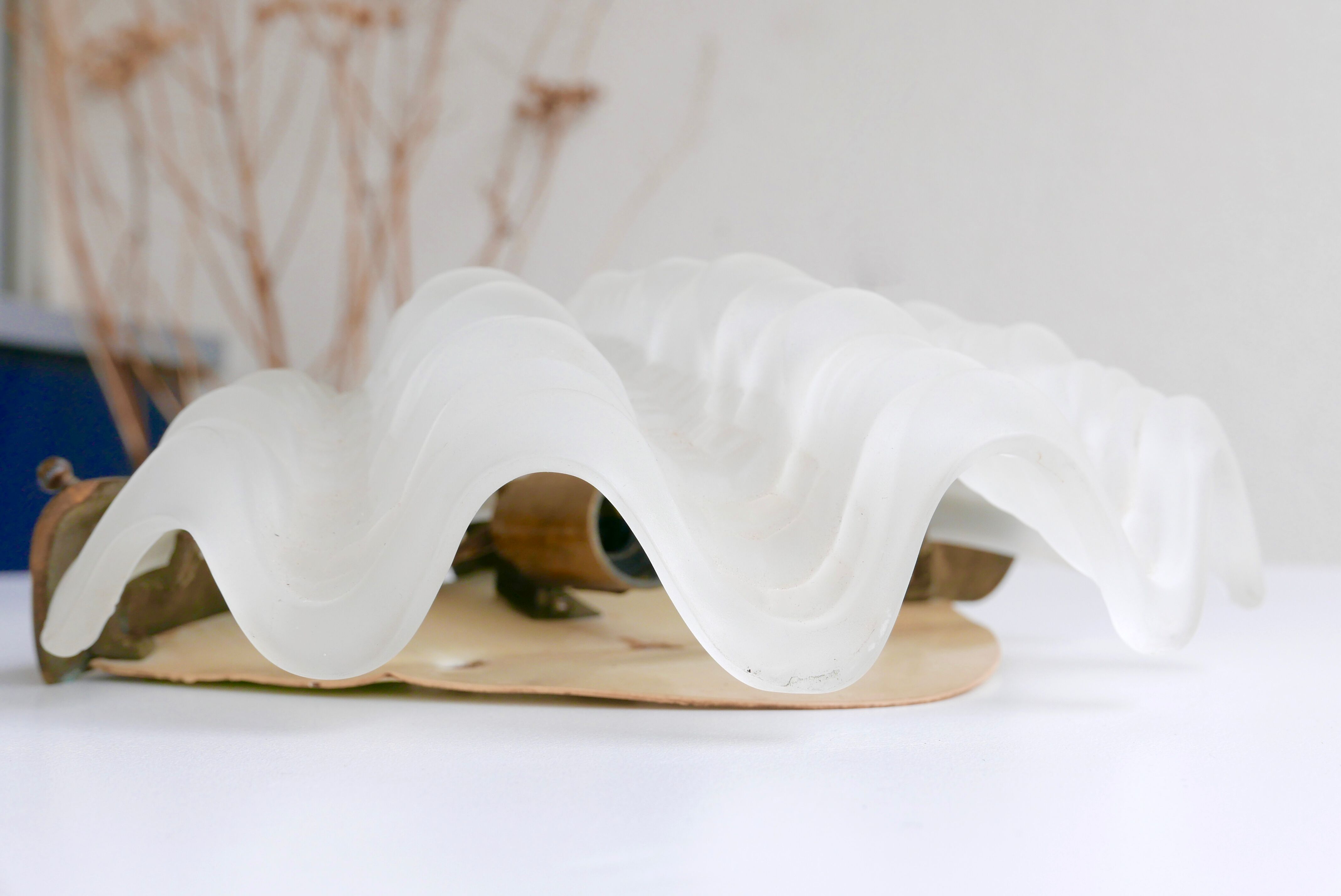 Pair of glass and brass sconces shell, 70 years