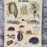 Deyrolle le cacao poster