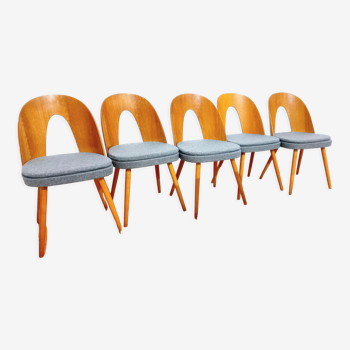 5 chaises, design. A. Suman, Tatra Nabytok, Tchécoslovaquie, années 60