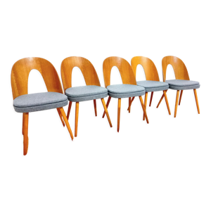 5 chaises, design. A. - tatra