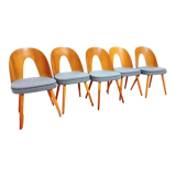 Set of five chairs, design. A. Suman, Tatra Nabytok, Czechoslovakia, 60s