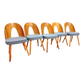 Set of five chairs, design. A. Suman, Tatra Nabytok, Czechoslovakia, 60s