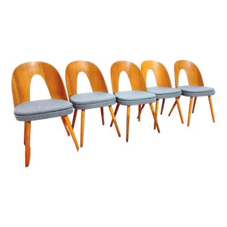 5 chaises, design. A. Suman, Tatra Nabytok, Tchécoslovaquie, années 60