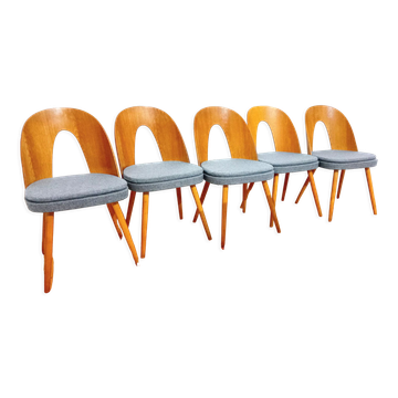 Set of five chairs, design. A. Suman, Tatra Nabytok, Czechoslovakia, 60s