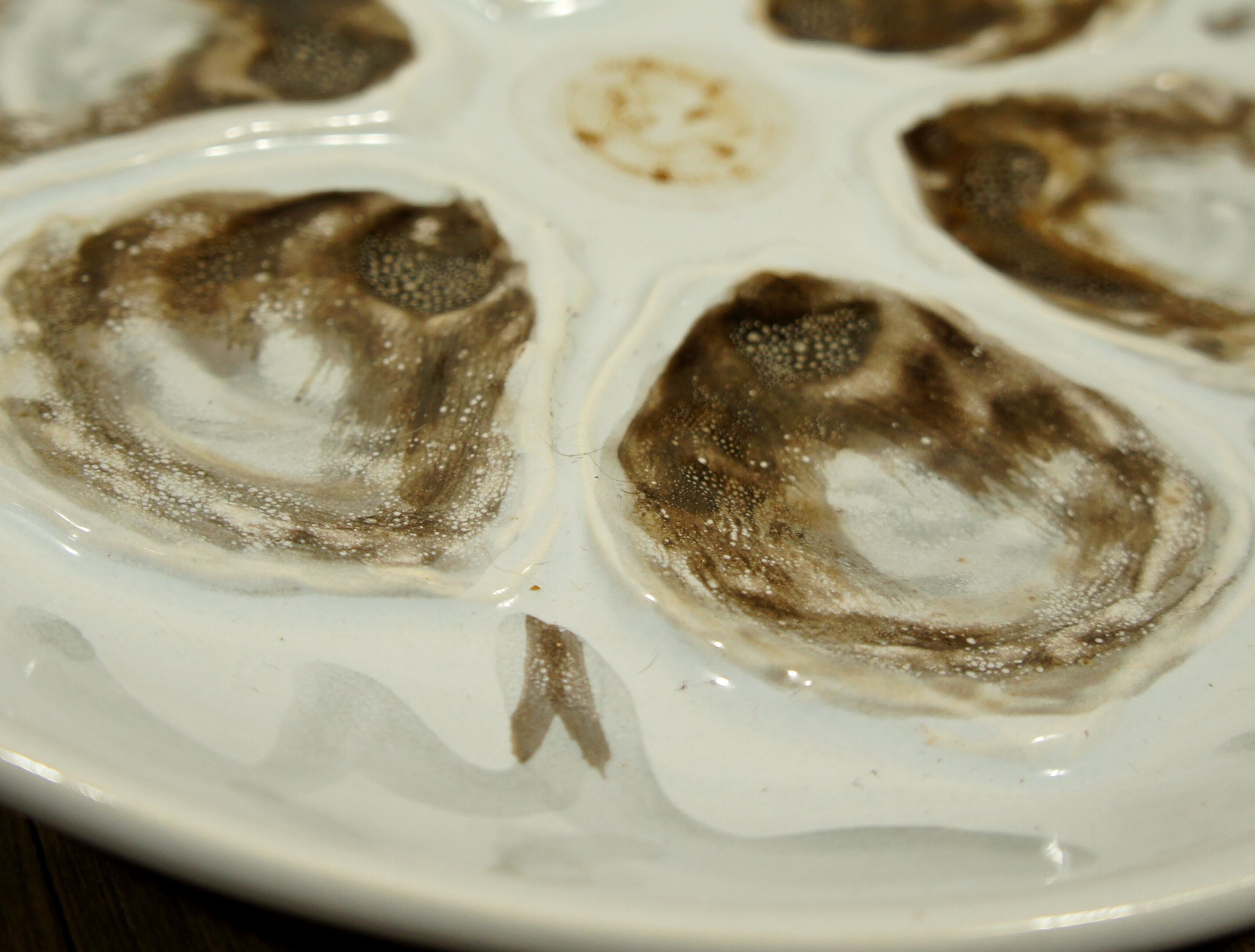 Set of 4 plates or oyster dishes, St-Amand earthenware