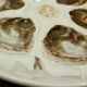 Set of 4 plates or oyster dishes, St-Amand earthenware