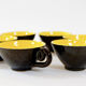 12 cup coffee service