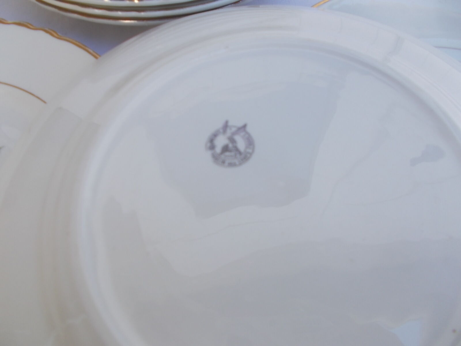 Lot 11 flat plates moulin des loups