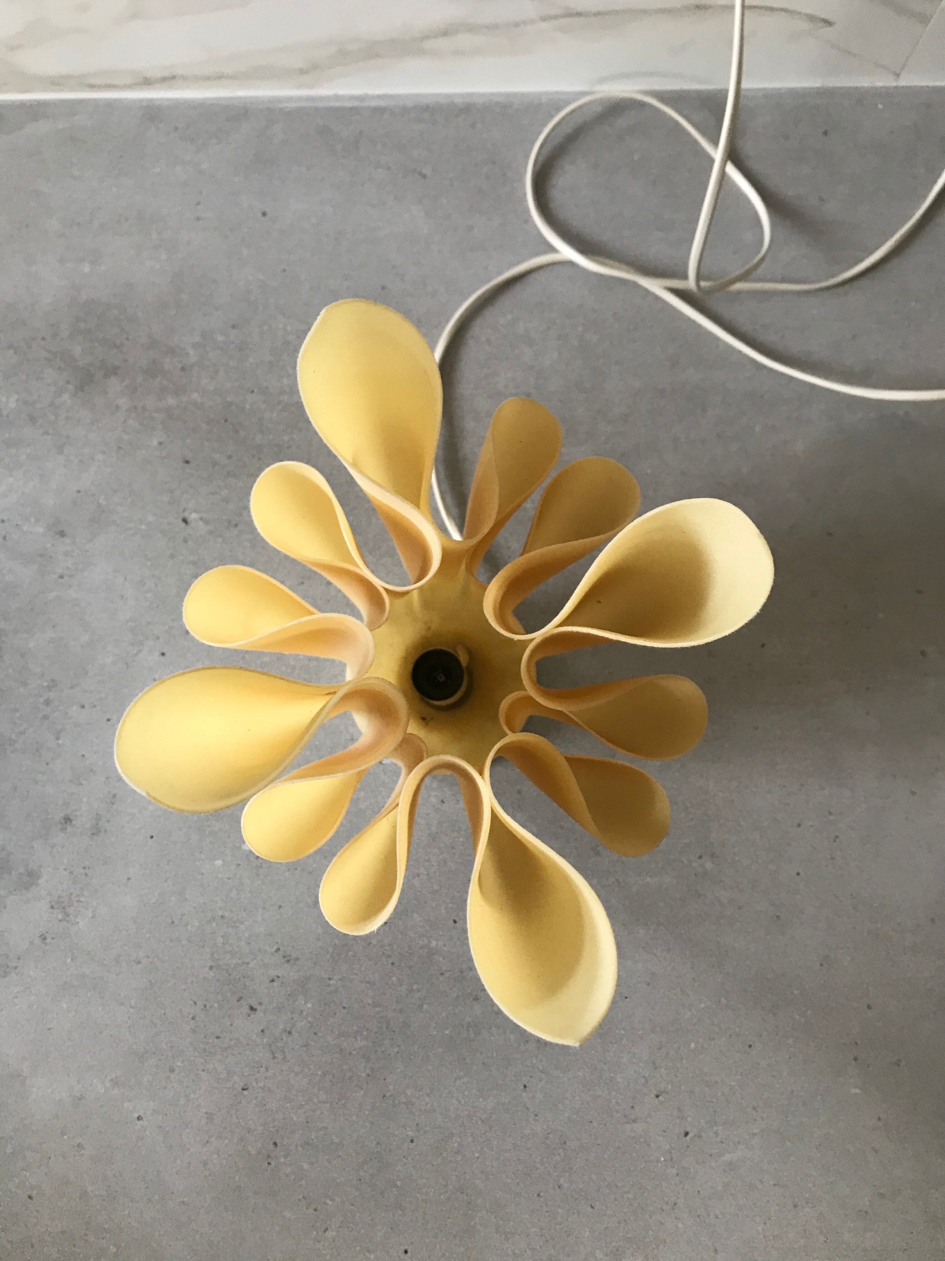 Georgia Jacob's lamp to lay