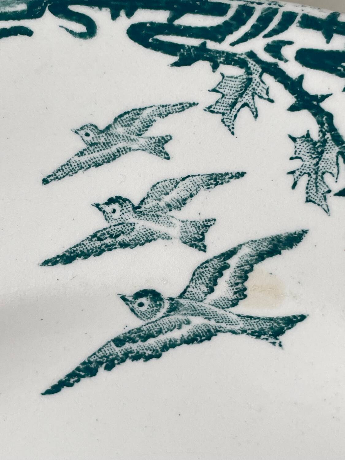 6 Longwy Ironstone Flat Plates, Richelieu Pattern