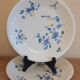Duo d'assiettes plates Limoges Haviland fleurs 70's