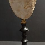 Cabinet of Curiosities sea urchin brissus unicolor on base