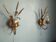 Pair of vintage Italian Hollywood Regency style sconces