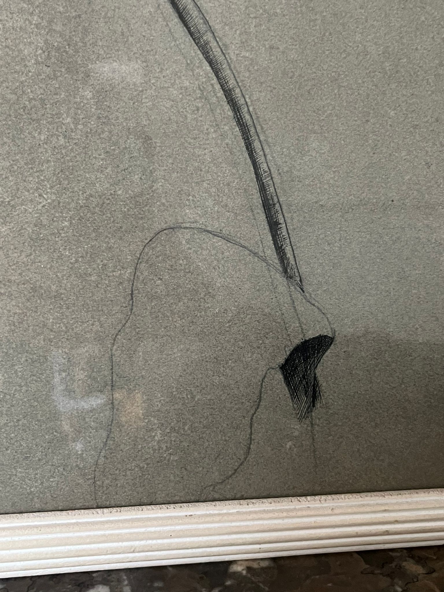 Etude documentaire d'une fleur, drawing, Dumant, 1951