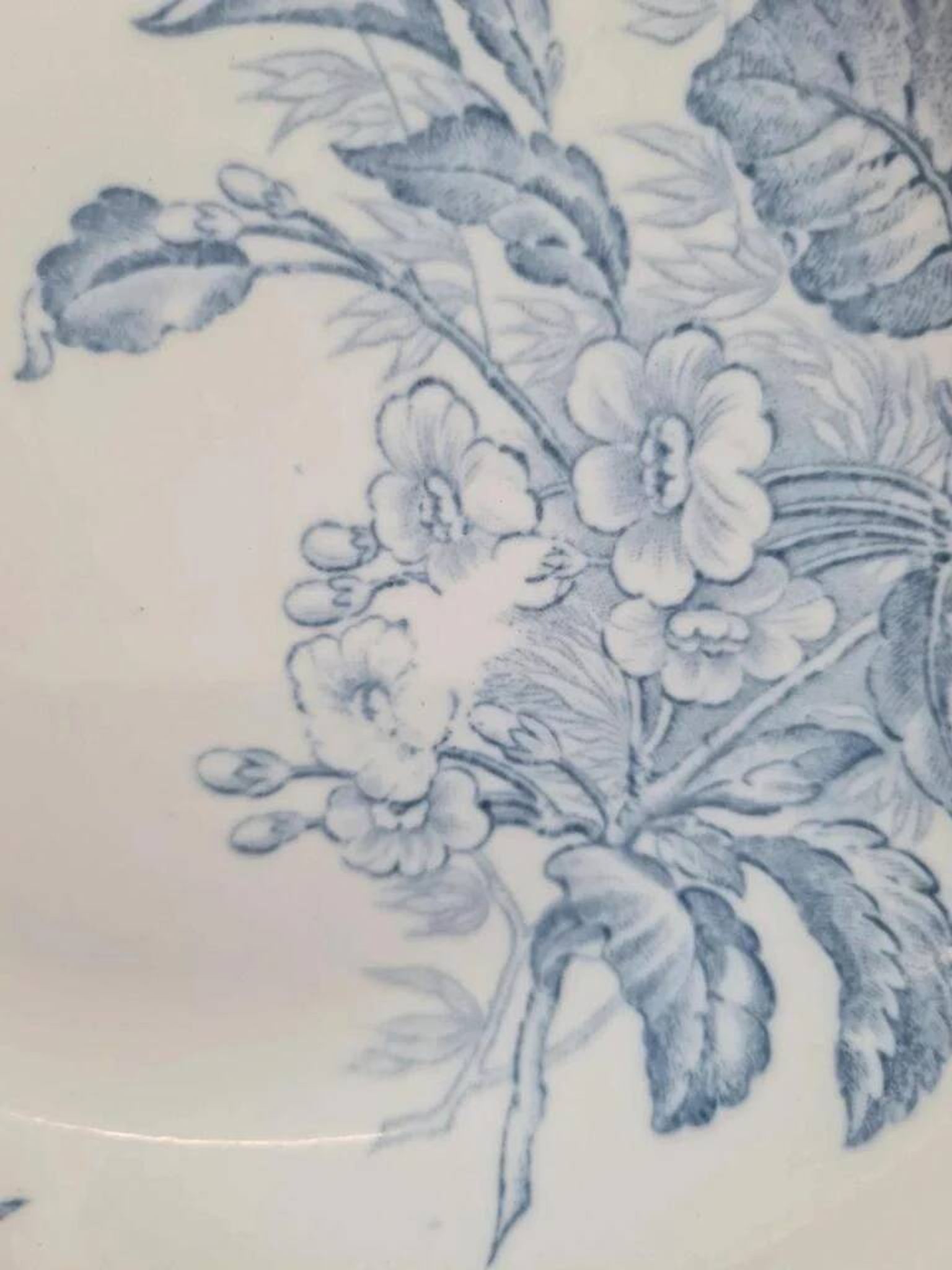 Antique hollow plate Sarreguemines model Flore
