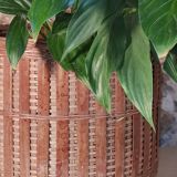 Rattan plant pot