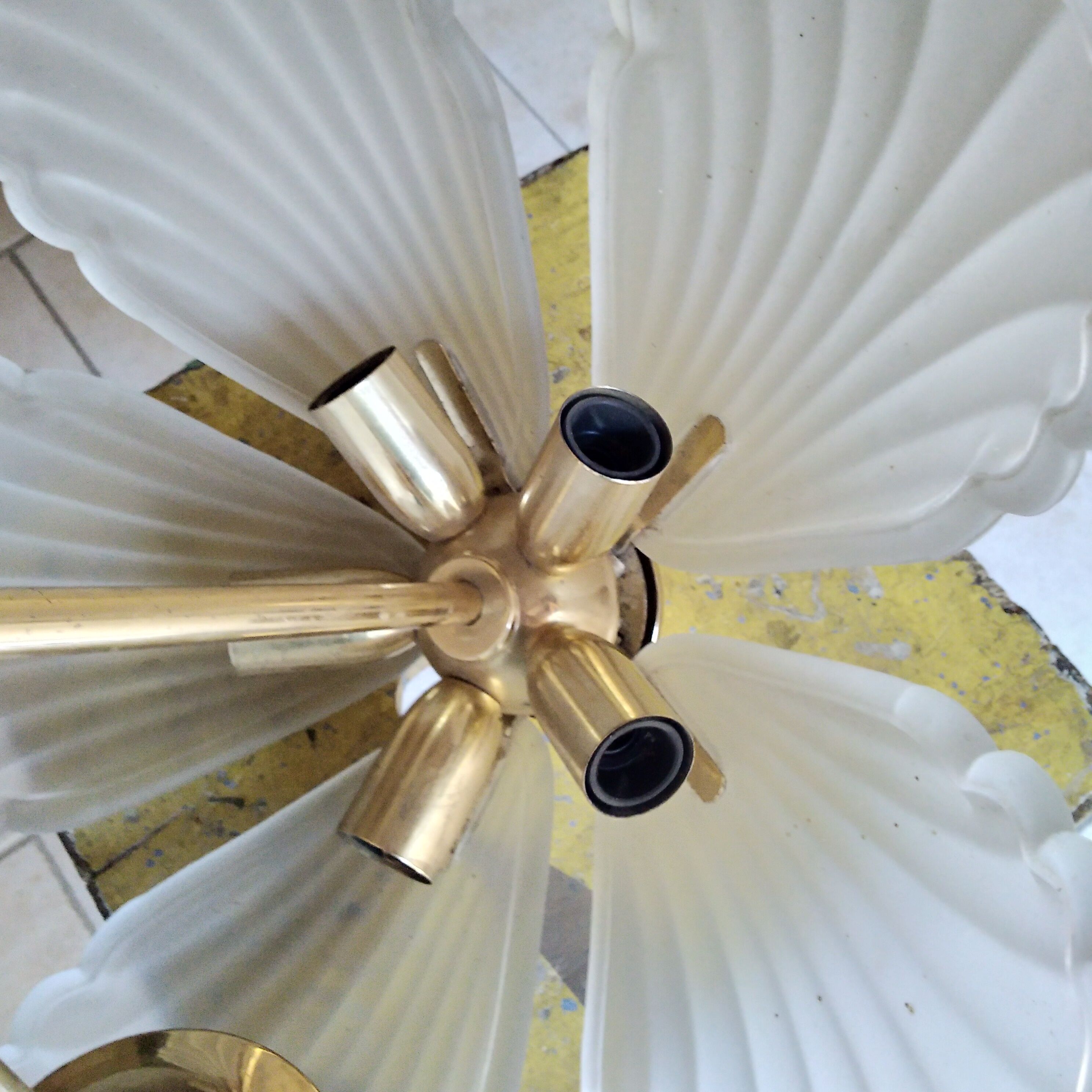 Chandelier murano shells 1970