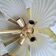 Chandelier murano shells 1970