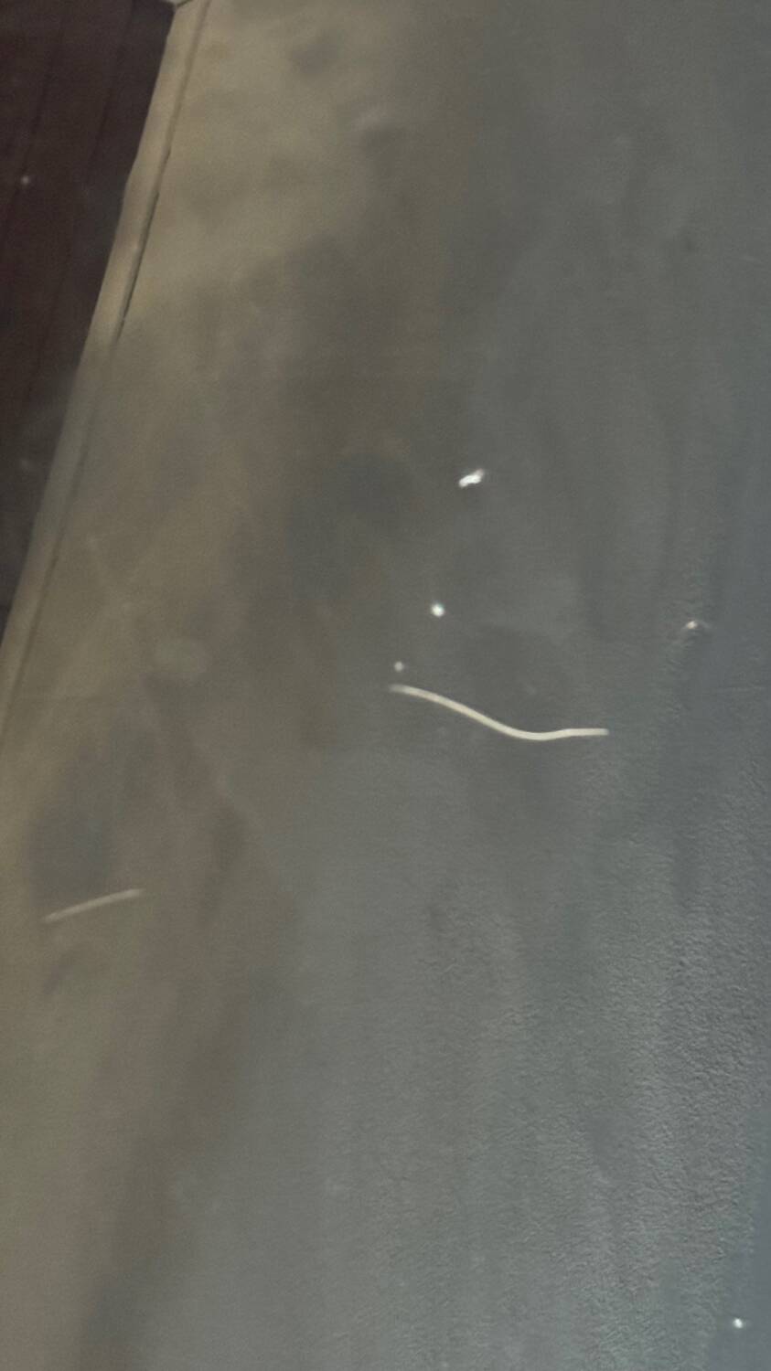 Designer glass coffee table