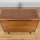 Mid-century model U391 bar cabinet by Bohumil Landsman for Jitona, Czechoslovakia, 1960s