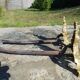 Pair of Louis XV-style channels