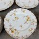 Rare service de table en porcelaine Haviland fin 19eme