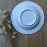 Hollow plates with blue trim Quadrifoglio