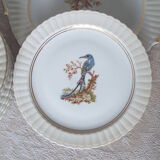 7 bird dessert plates