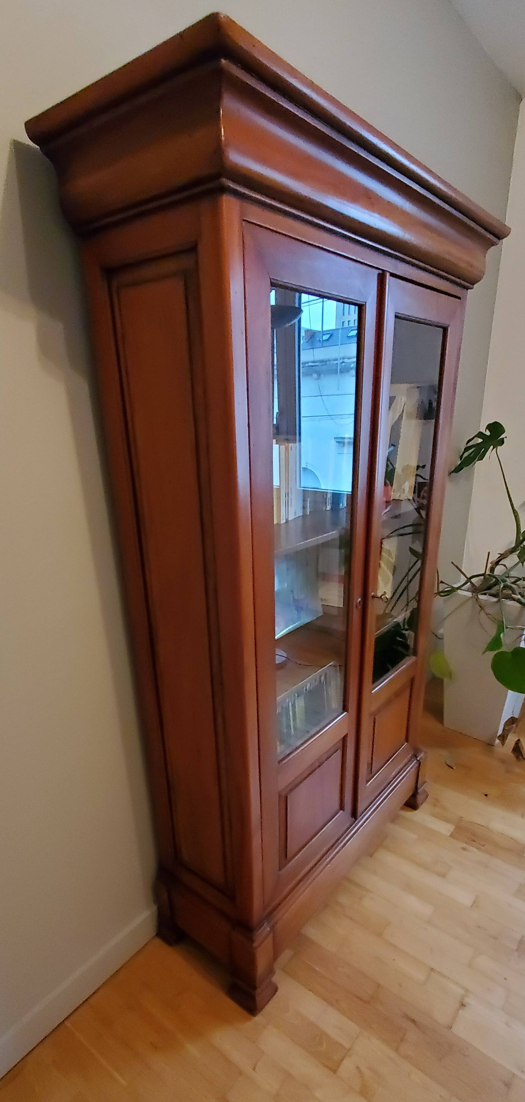 Showcase library in solid wood
