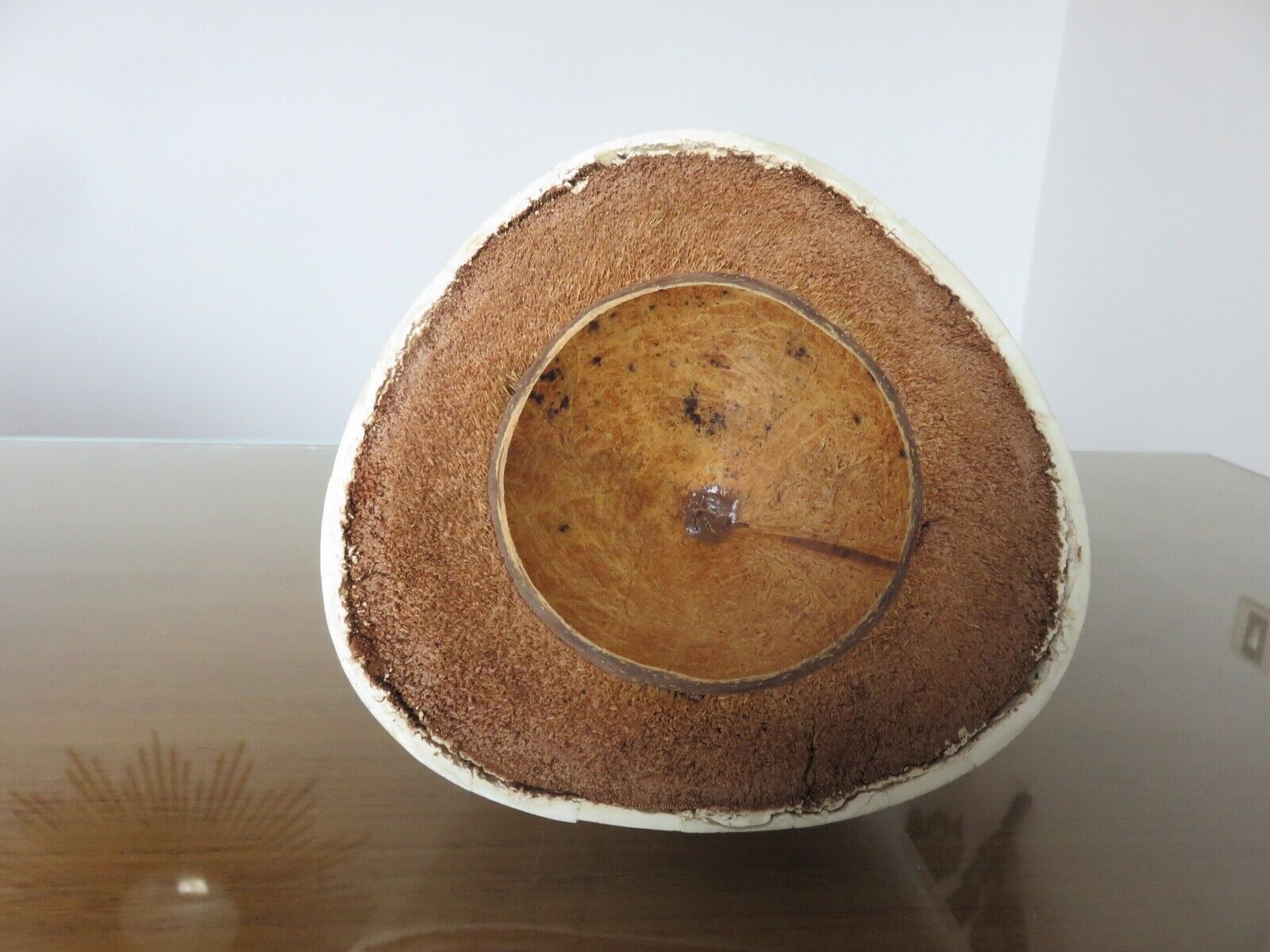 Ice bucket "coconut" bone marquetry 50s